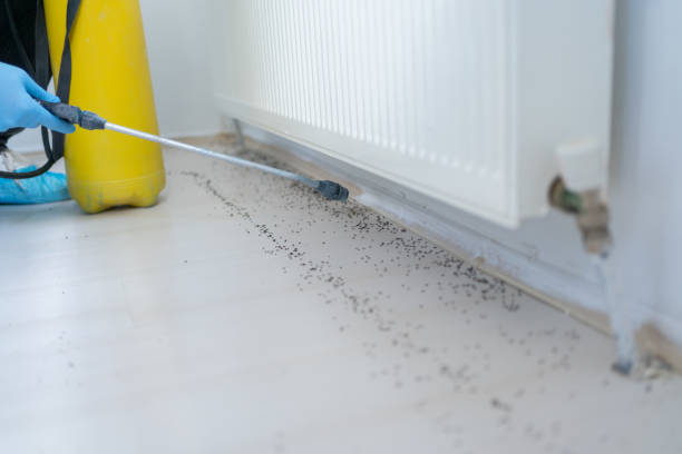 Best Pest Prevention Services  in Montrose, VA